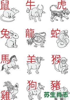 美丽动物是什么生肖？十二生肖中谁最美丽
