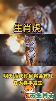 吃里扒外的是什么生肖？恶毒的动物是什么生肖