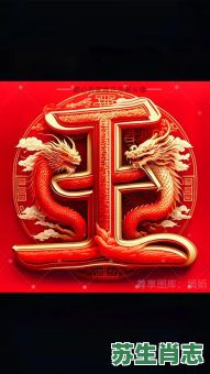 王字是什么生肖？王字最正确生肖