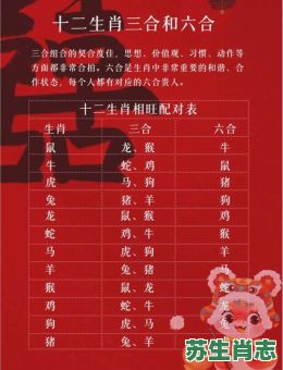 夫妻对吵是什么生肖？夫妻打一生肖
