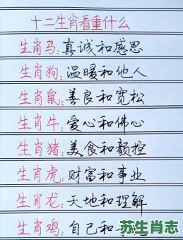 写文章的生肖是什么？写手打一生肖