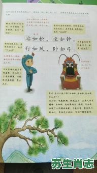 坐如钟是什么生肖？站如松,坐如钟,行如风,卧如弓