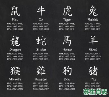 买女人的生肖是什么?要钱买女人的正确动物 买女人的生肖是什么?要钱买女人的正确动物