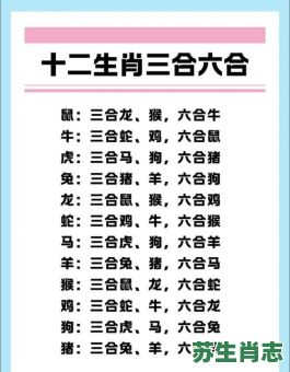 四合肖是什么生肖？三合生肖是哪几个生肖
