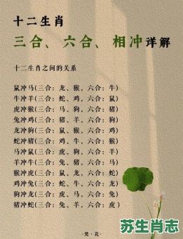 猴三合生肖是什么？猴的三合和六个合
