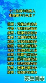 看不起人是什么生肖？看不起人最准确生肖