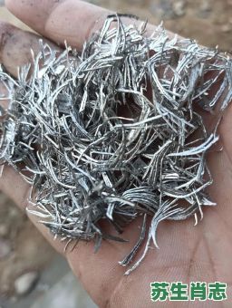 镁是什么生肖？镁代表什么动物