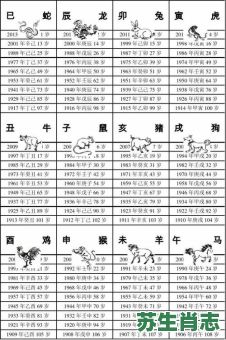 癸巳是什么生肖？癸在十二生肖是什么