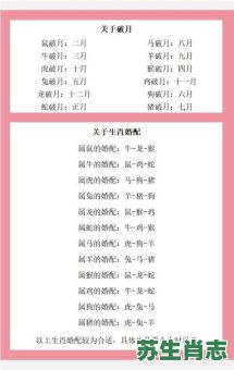 圆月是什么 生肖？月圆代表什么生肖