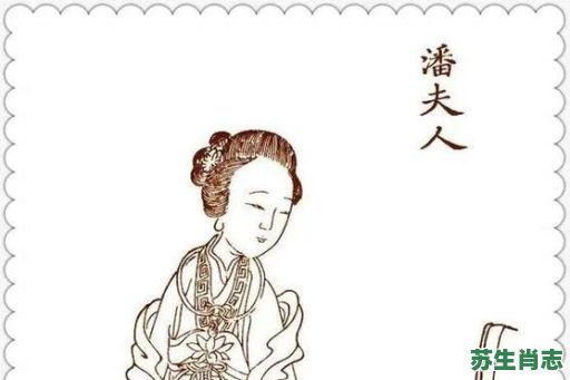 淑是什么生肖？淑女代表什么生肖
