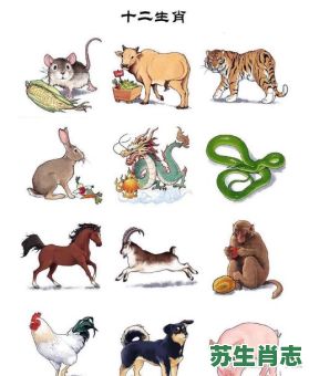东施生肖是什么？施打一个生肖