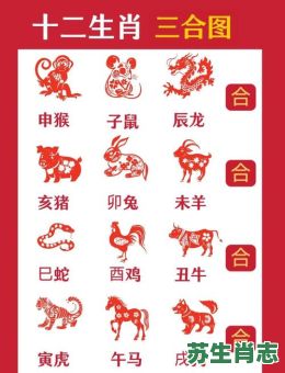 保守是什么生肖？保守打一精准生肖