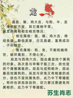 2005属相是什么生肖？100分的属相配对