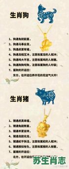 贴心的人是什么生肖？最贴心打一正确生肖