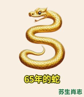 假蛇是什么生肖?假蛇的准确生肖 假蛇是什么生肖?假蛇的准确生肖