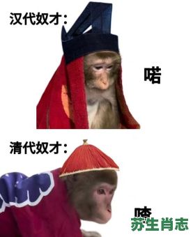 奴才命是什么生肖？奴才打一数字