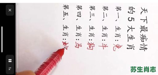 常见肉食生肖是什么？吃肉的打一生肖