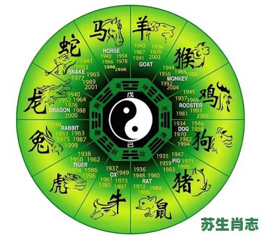 平衡的生肖是什么？四平八稳最一最佳生肖