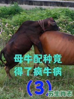 疯是什么动物生肖？疯牛病的起因是什么生肖