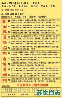 2026年生肖运程大揭秘：你的属相年度运势将迎来哪些机遇与挑战？如何把握关键时机提升整体运程？