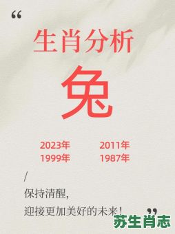 2026年生肖兔运程如何？本年度事业财运有何关键转折与注意事项？