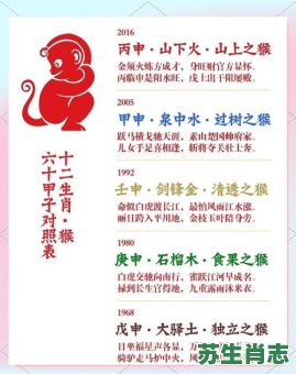 2026年生肖猴运程如何具体解析？属猴人该怎样把握关键机遇提升运势？