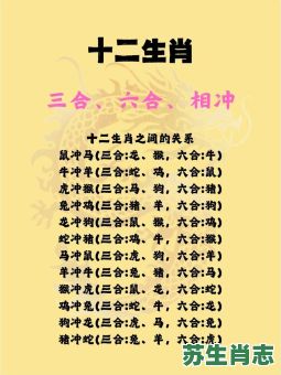 2026年生肖运程全面解读：你的属相今年运势如何，抓住机遇还是规避风险？