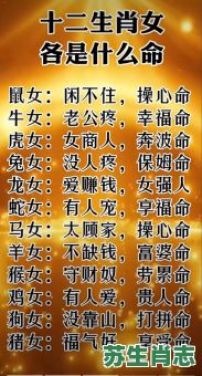 2026年运势最旺的生肖女是谁？哪些生肖女性将在2026年迎来事业与财运双丰收？