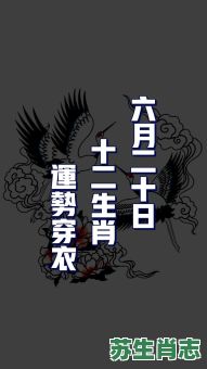 2026年生肖运势大揭秘：十二生肖运程将如何变化？哪些属相将迎来事业与财富双重惊喜？