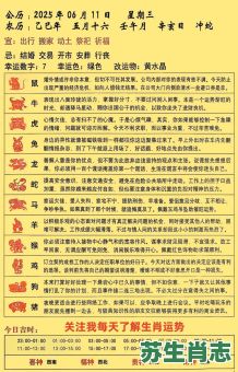 2026年十二生肖运程全面解读，你的运势会有哪些新变化与机遇？如何提前布局规避风险？