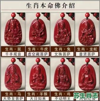 【2026年运缘阁十二生肖本命佛】如何选择?哪尊佛才能助您开运改命? 【2026年运缘阁十二生肖本命佛】如何选择?哪尊佛才能助您开运改命?