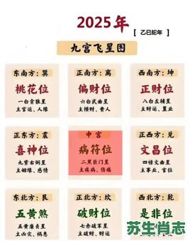 宋韶光2026年十二生肖运程大解析：你的属相运势如何？谁又将迎来本命年运程巅峰？