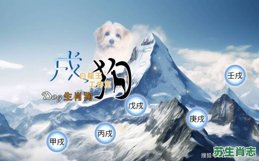 2026年生肖狗今日运势如何?事业财运与健康感情将有哪些惊喜与挑战? 2026年生肖狗今日运势如何?事业财运与健康感情将有哪些惊喜与挑战?