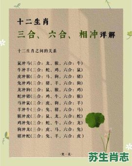 2026年十二生肖运程全解析：哪些属相将迎来事业腾飞与桃花朵朵？如何规避太岁影响并把握财富机遇？