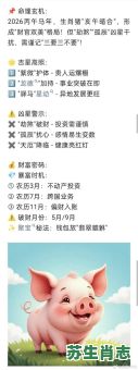 **生肖猪在2026年运势如何？事业与财运方面会有哪些新的机遇和挑战需把握？**