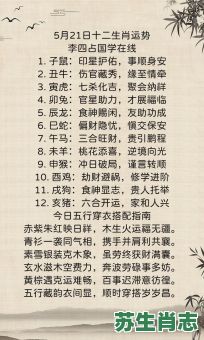 【2026年生肖运势全解析】你的属相运程如何？2026年十二生肖如何抓住机遇避开风险？