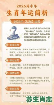 2026年哪些生肖将迎来事业巅峰？如何把握良机提升运势走向成功？