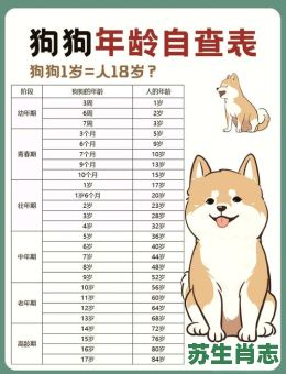 2026年属狗人全年运势详解,如何化解太岁危机并抓住财富机遇? 2026年属狗人全年运势详解,如何化解太岁危机并抓住财富机遇?