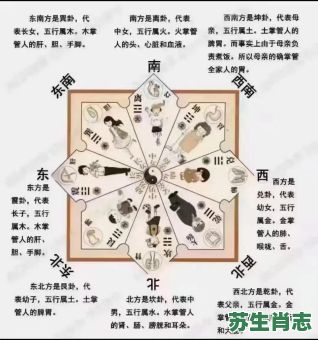 一运二命三风水到底是指哪个生肖？2026年你的运势和风水该如何布局调整？