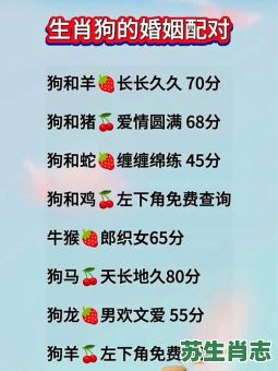 2026年生肖狗爱情运如何？节日期间能否邂逅正缘或升温恋情？