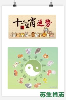 2026年十二生肖运程大揭秘，你的属相运势如何？有哪些转运秘诀需掌握？